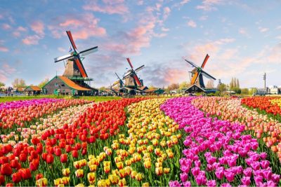 Kinh nghiệm xin visa Hà Lan