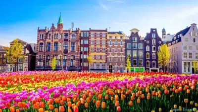 thủ tục xin visa du học Hà Lan