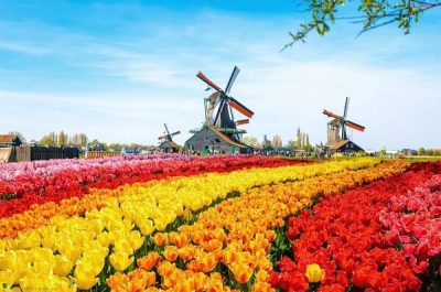 Xin visa đi Hà Lan có khó không?